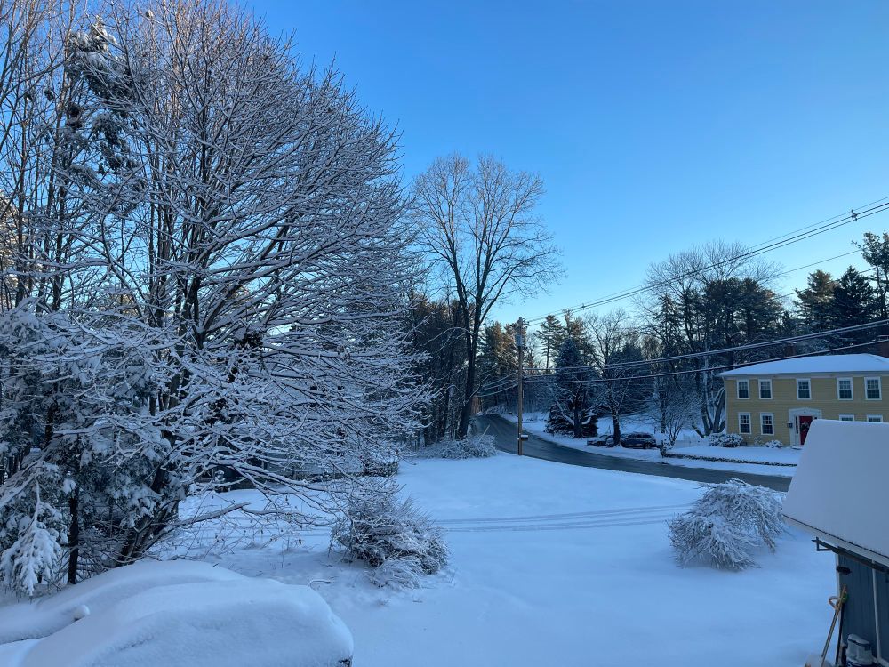 Morning after a snowfall