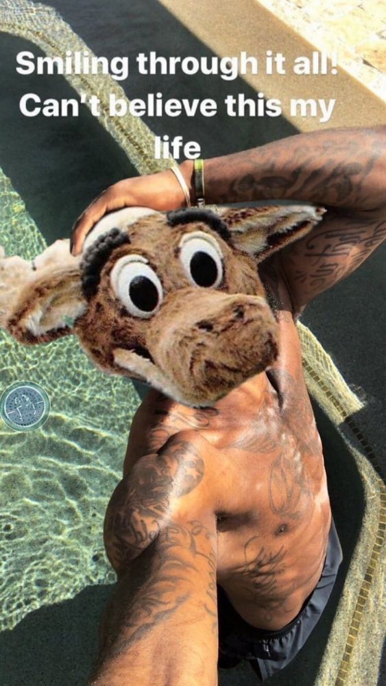 The meme of LeBron James smiling in a pool with the text "Smiling through it all! Can't believe this is my life" but instead of LeBron James head it is the head of the Mariners Moose, the mascot to the Seattle Mariners baseball team.