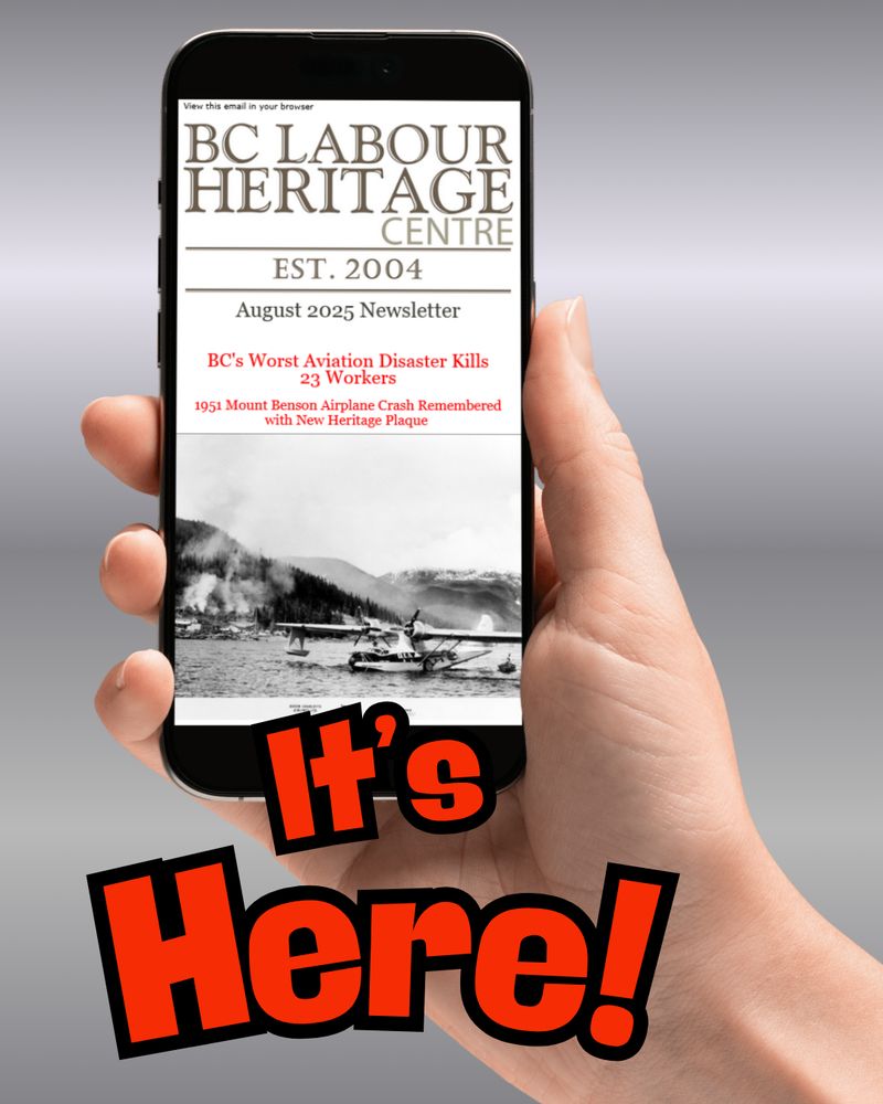 Hand holding a cell phone displaying newsletter. Headline reads It's Here.