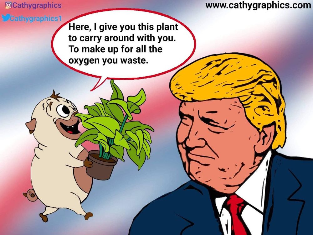 Comment image