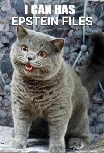 A photo of a cat, and the text "I can has epstein files"
