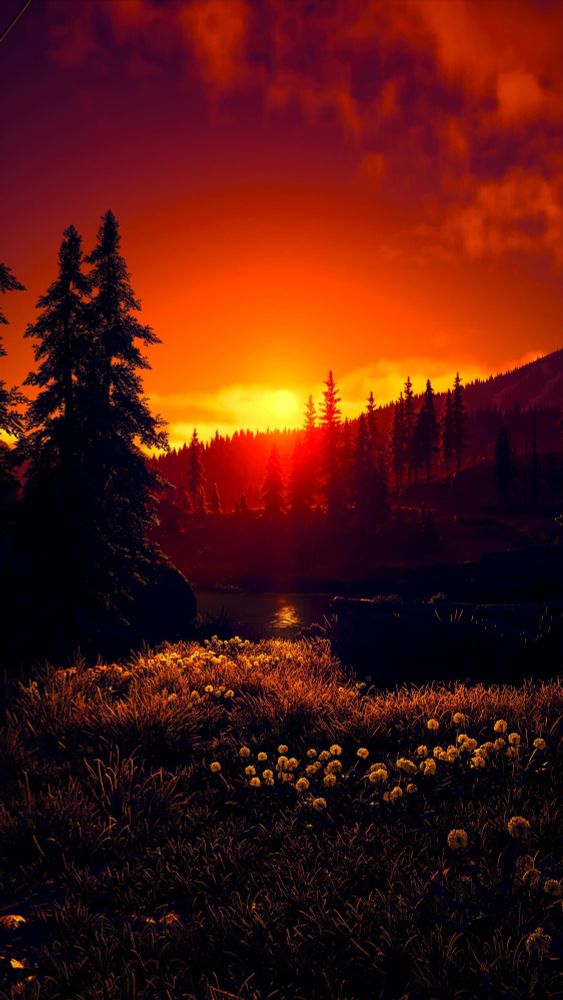 A Hopeful Sunset Shot, On Days Gone Remastered! 📸🌻🌼🌄