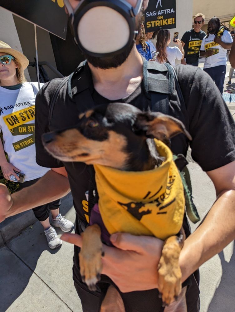 A dog is carried on the SAG-AFTRA picket line by his person in a Flo mask. The dog's yellow bandana is block printed with a dog barking STRIKE! 