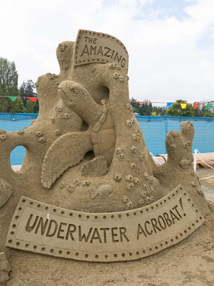 A sand sculpture of a sea turtle swimming through a large corl structure, with a marquee reading "The amazing underwater acrobat!"