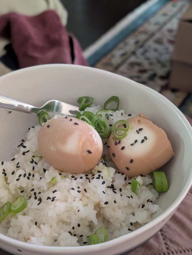 A bowl of rice with scallions and 2 marinated eggs 