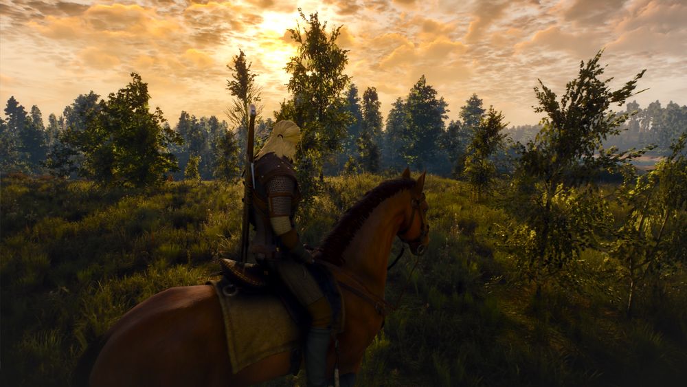 Screenshot from the game The Witcher 3: Wild Hunt. On horseback starring into the sunset.