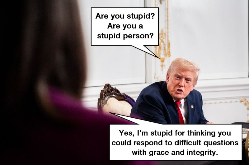 Trump asks reporter, "Are you stupid? Are you a stupid person?" Reporter replies, "Yes, I'm stupid for thinking you could respond to difficult questions with grace and integrity."