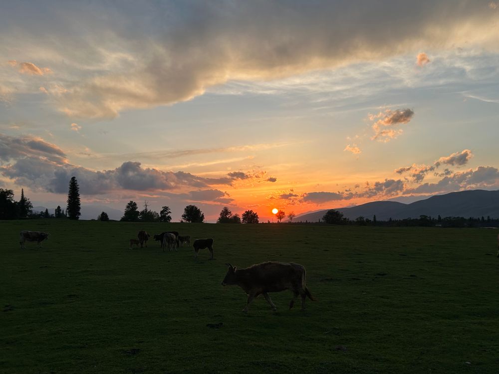 Sunset version of Fat Old Sun by Pink Floyd.