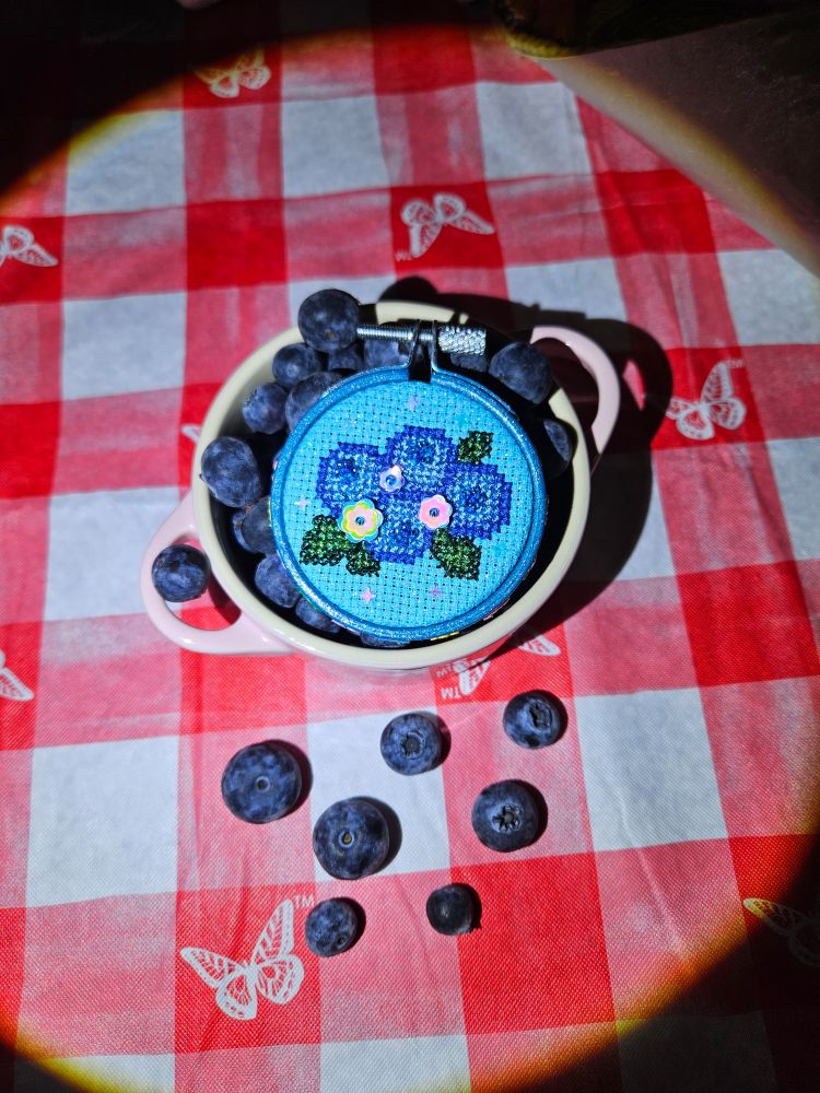 A blueberry themed cross stitch piece set against a mini cocotte full of blueberries on a red gingham tablecloth with white butterflies printed on the squares. The photo is unedited (aside from any potential forced editing done by Samsung phones nowadays) but taken using a flashlight to produce an overly lit foreground with deep shadows. The flashlight causes a vignette effect around the outside of the image. 