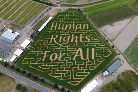 corn maze that clearly spells out Human Rights For All