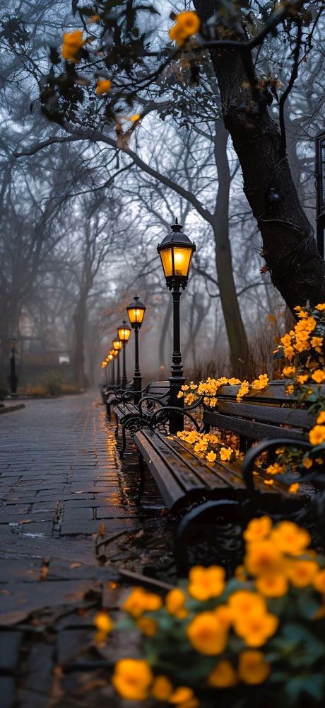 banco de praça com céu nublado e flores amarelas decorando o banco. postes de iluminação amarrada e piso levemente molhado com vários galhos de árvore sem muitas folhas decorando parte do cenário 