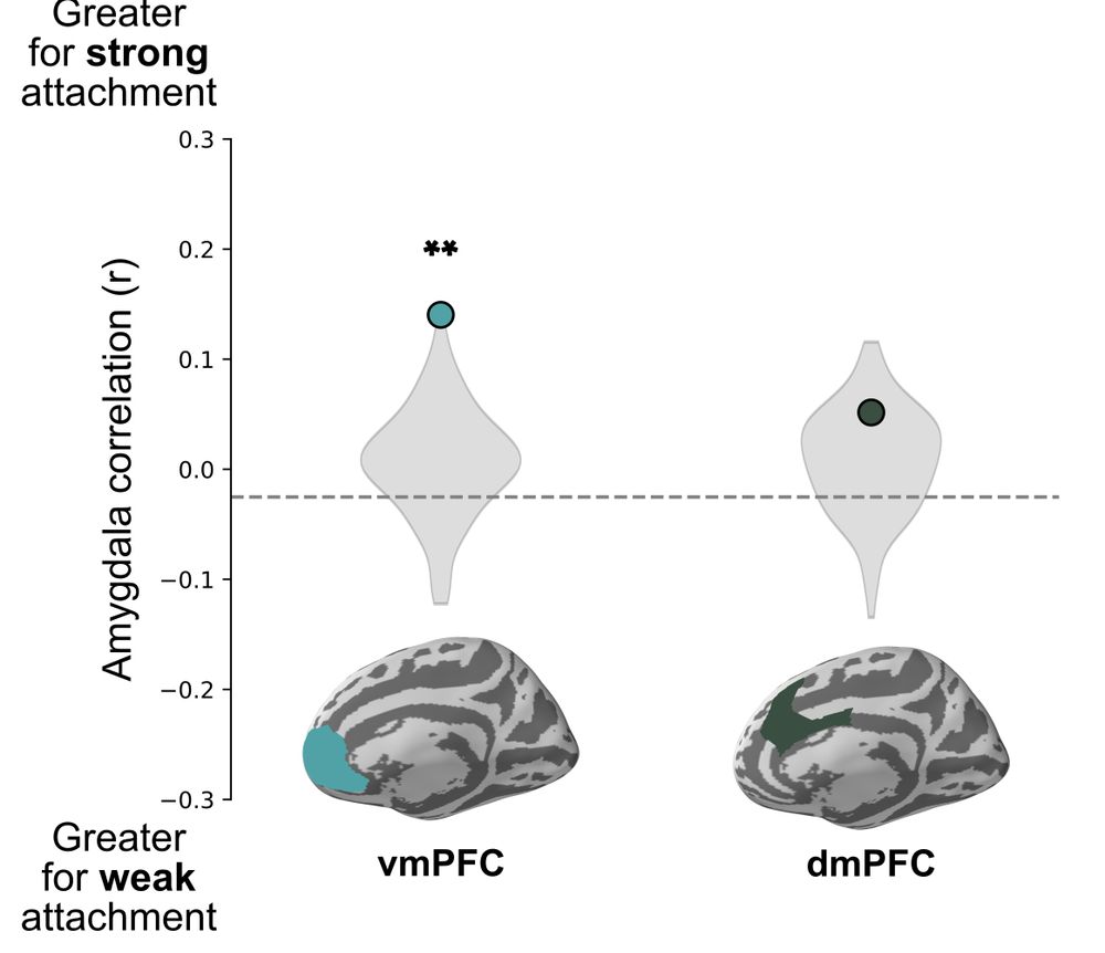 Data figure showing that amygdala-vmPFC correlation is higher for children with strong attachment, while there is no significant effect on amygdala-dmPFC connectivity