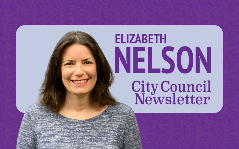 Ann Arbor City Council Newsletter (May 19, 2024) - Elizabeth Nelson | Promoting Ann Arbor Democracy Since 2018