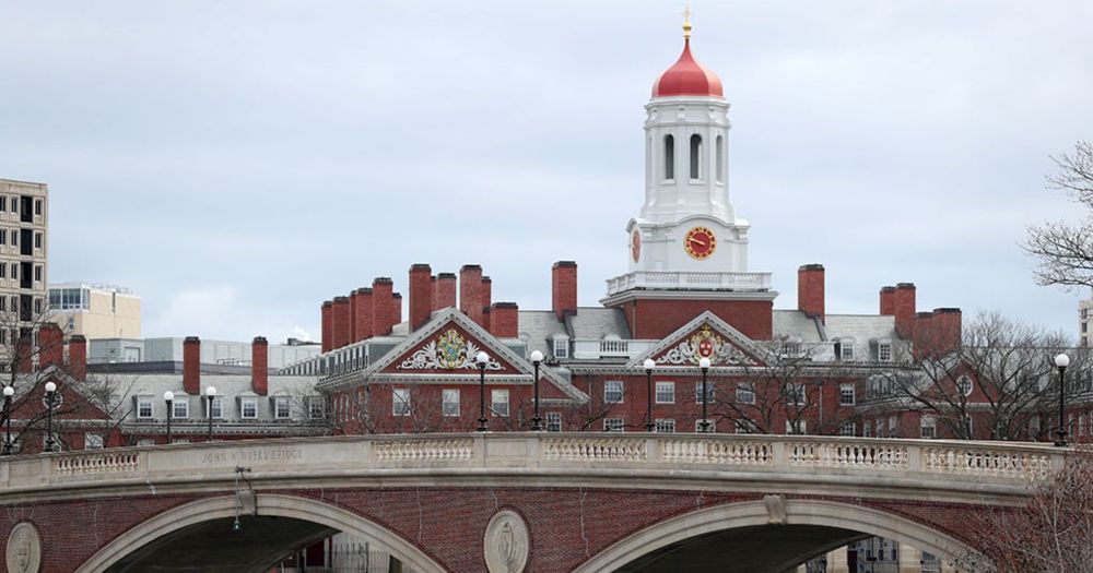 Disgraced financier Jeffrey Epstein visited Harvard University's campus more than 40 times after his 2008 sex crimes conviction and was given his own office, according to a review.
