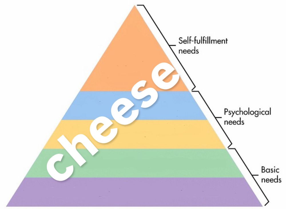 diagram of maslow's hierarchy of needs, a triangle with a top section of self fulfillment needs, mid section labeled psychological needs, and at the base, basic needs. the text of the pyramid has been removed and it says "cheese" across the whole thing 