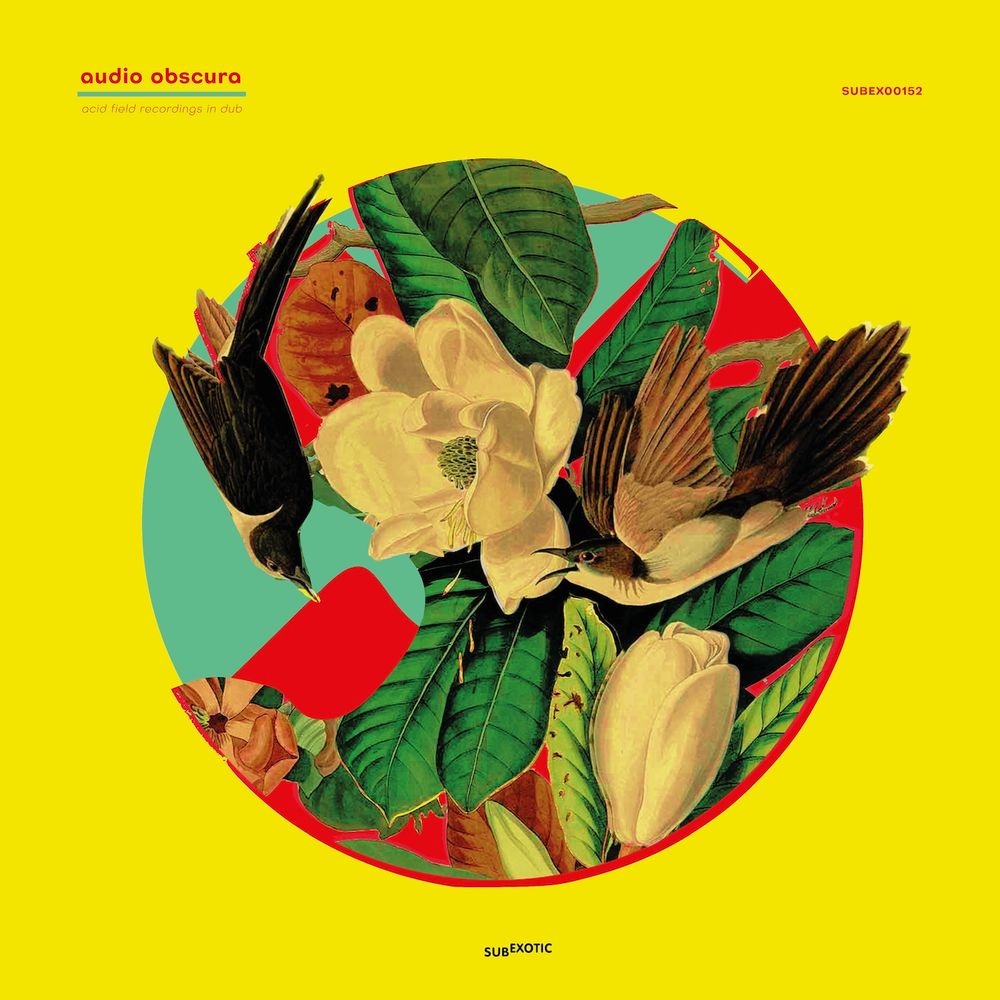 Some birds and plants, set against a yellow background