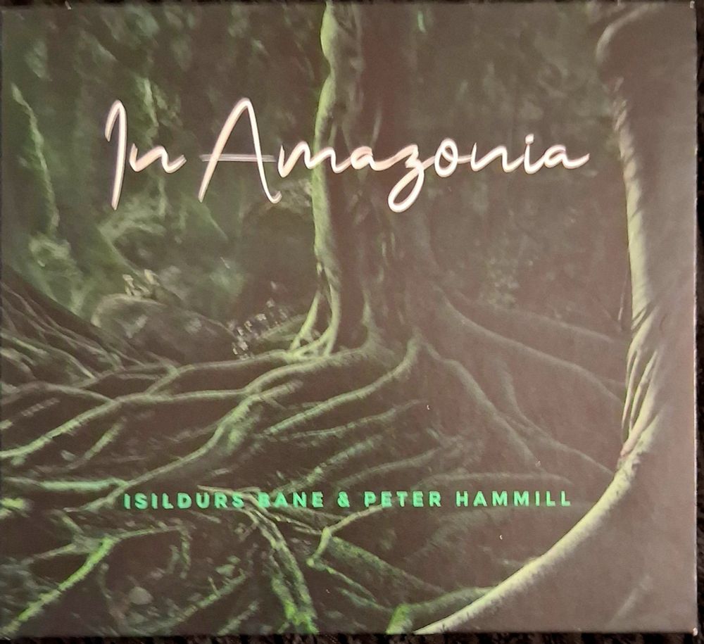 A tree in a rain forest