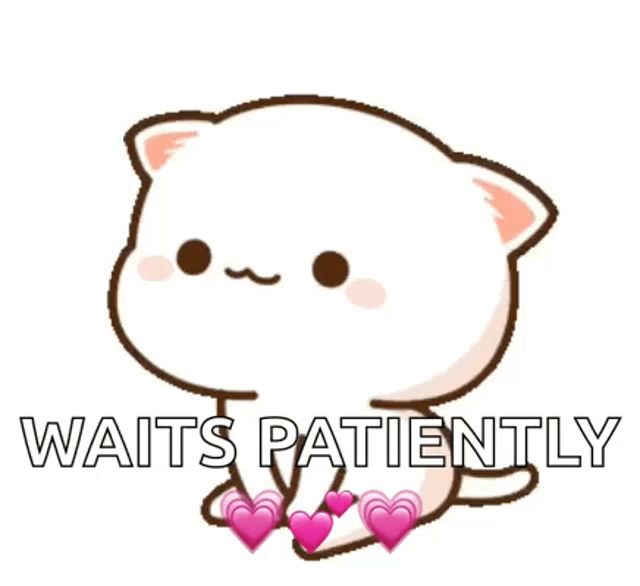 a white cat with pink hearts on its legs and the words waits patiently