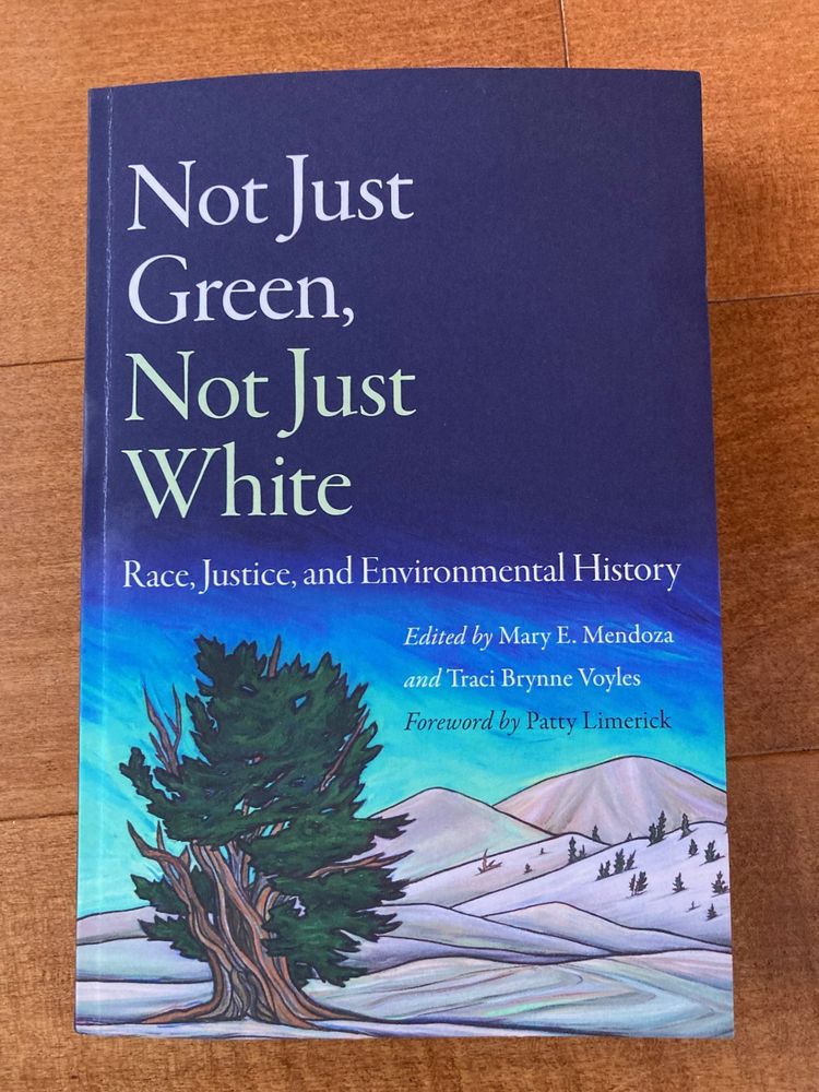 A photo of a book, titled Not Just Green, Not Just White: Race, Justice, and Environmental History, atop a wooden surface. In addition to the book title, the other text on the cover includes the names of the editors, Mary E. Mendoza and Traci Brynne Voyles, as well as that of Patty Limerick, who wrote the foreword. The cover image features a landscape painting  that shows a windswept and vibrant green bristlecone pine tree, along with grey hills in the background and a large sky, in soothing shades of aqua, light blue, and dark blue, above.