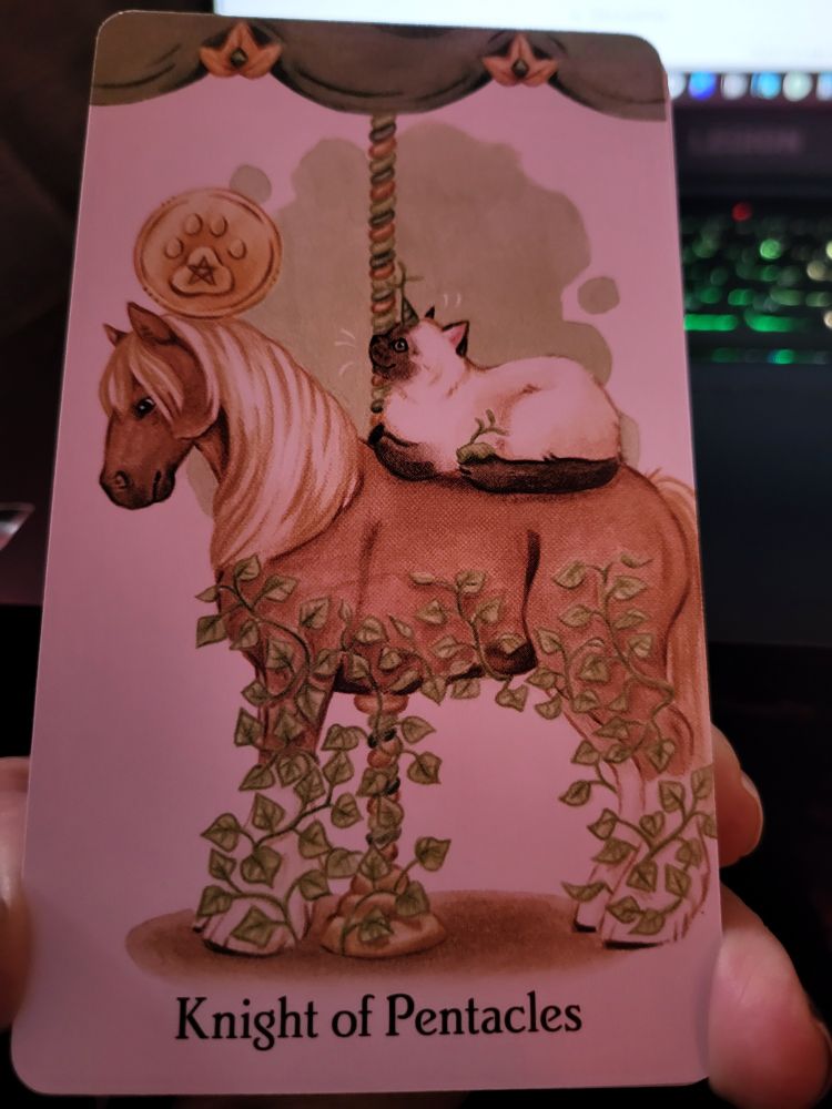 Knight of Pentacles card with a cat sitting on a pony