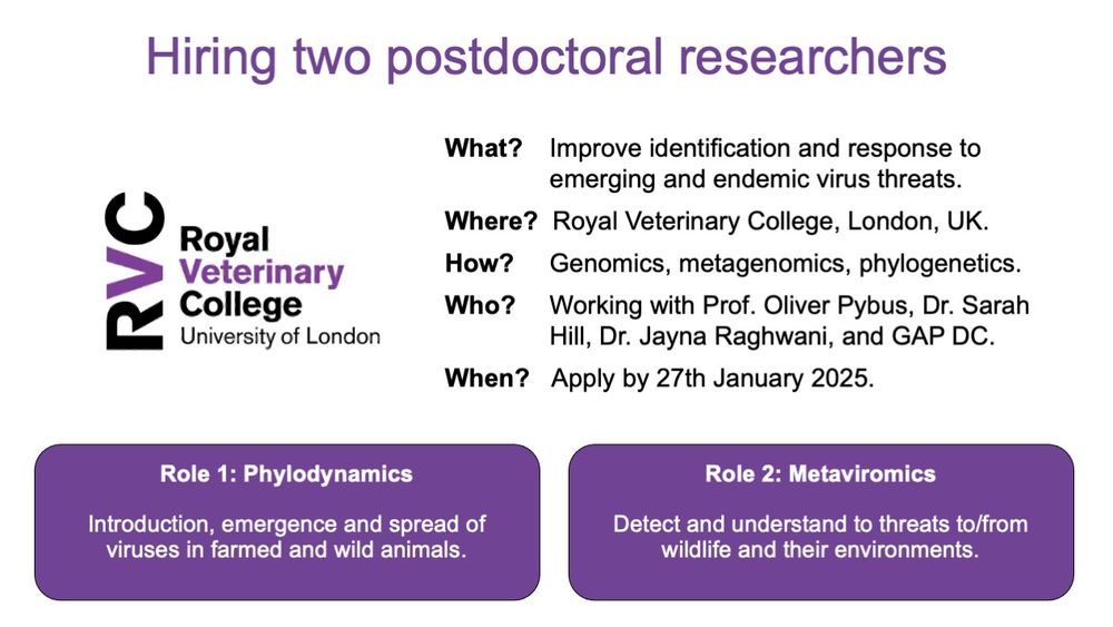 An image with text describing the jobs, and the logo of the Royal Veterinary College. The text says:

Title: Hiring two postdoctoral researchers. 

What? Improve identification and response to emerging and endemic virus threats.
Where? Royal Veterinary College.
How? Genomics, metagenomics, phylogenetics.
Who: Working with Prof Oliver Pybus, Dr Sarah Hill, Dr Jayna Rahgwani, and GAP DC. 
When? Apply by 27th January 2025. 

Underneath this, there are two boxes describing the two roles:
Role 1: Phylodynamics: Introduction, emergence and spread of viruses in farmed and wild animals. 
Role 2: Detect and understand threats to/from wildlife and their environments. 
