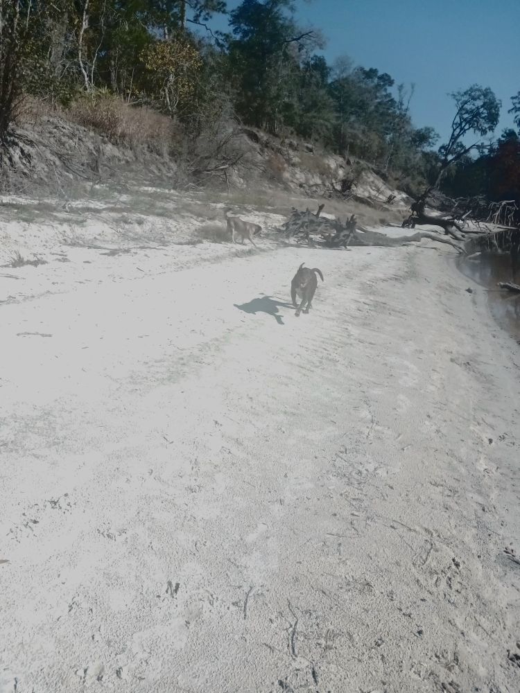 Zoom zoom zooooommmmm!