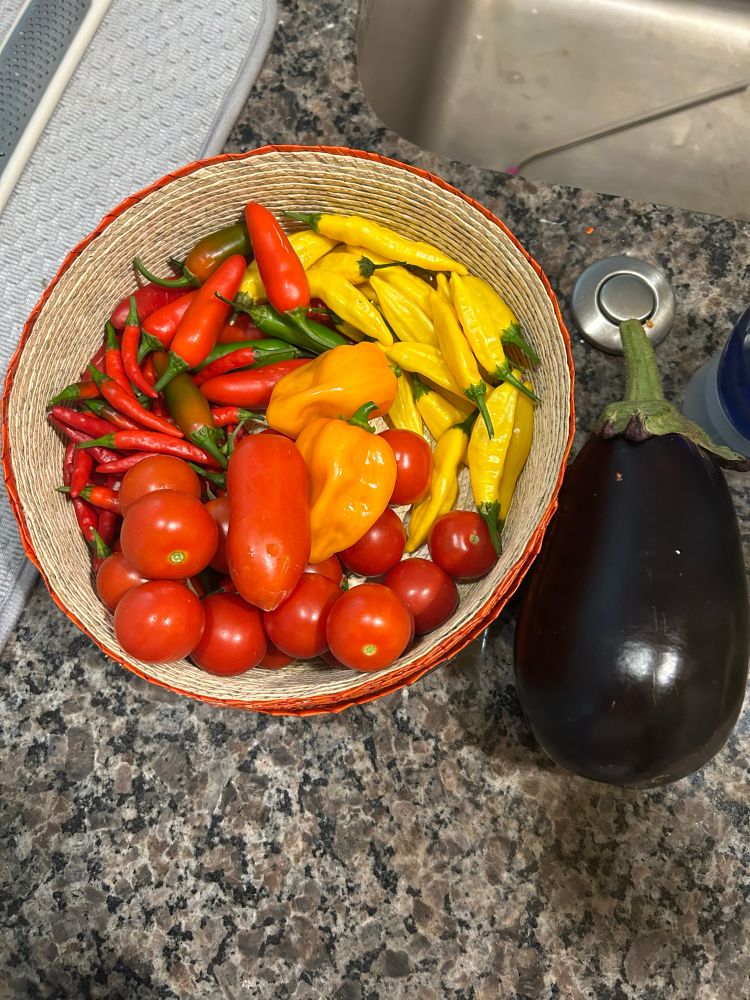 A basket with Thai chilies, Serrano, lemon drop chilies, habaneros, baby tomatoes with an eggplant sitting next to it.