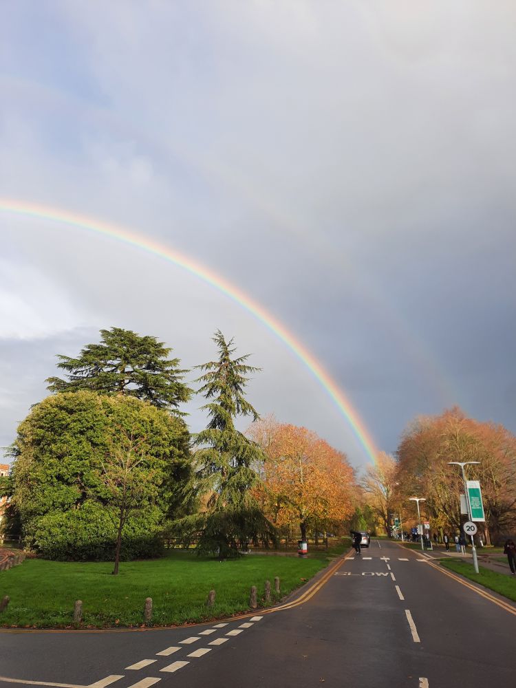 A rainbow arching over some trees and a road. The trees are brightly sunlit and look sharp and vivid, in contrast to the darkening sky behind them. A secondary rainbow is visible above the primary.