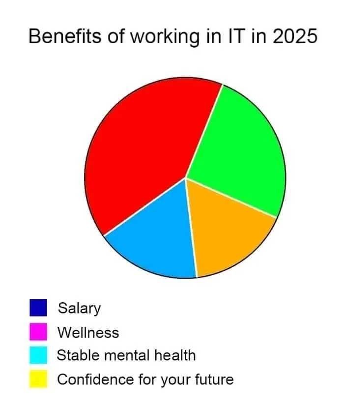 Benefits of working in IT in 2025