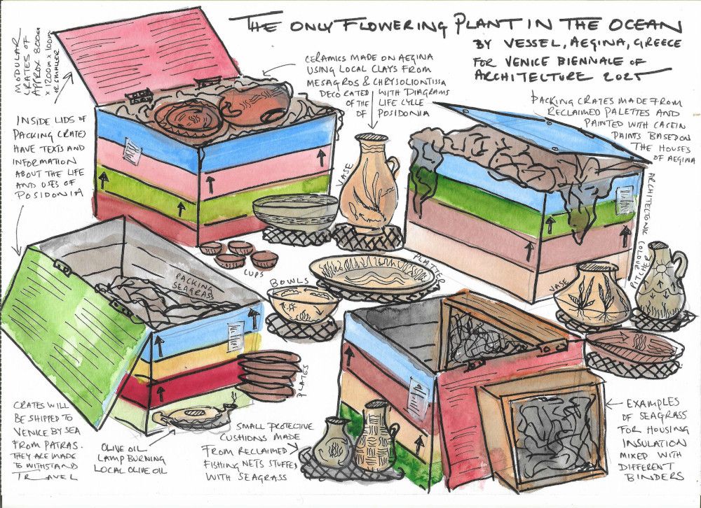 Proposal painting for "The Only Flowering Plant in the Ocean", an installation of seagrass, ceramics, and packing cases for the Venice Biennial.