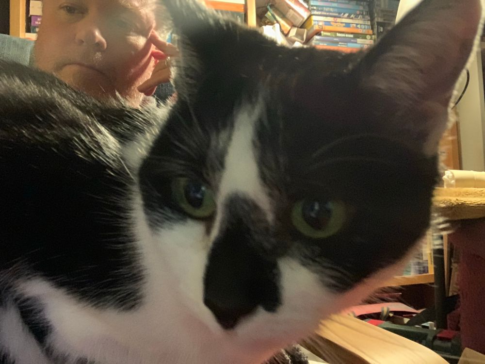 a black and white cat with a bearded human face in the background.