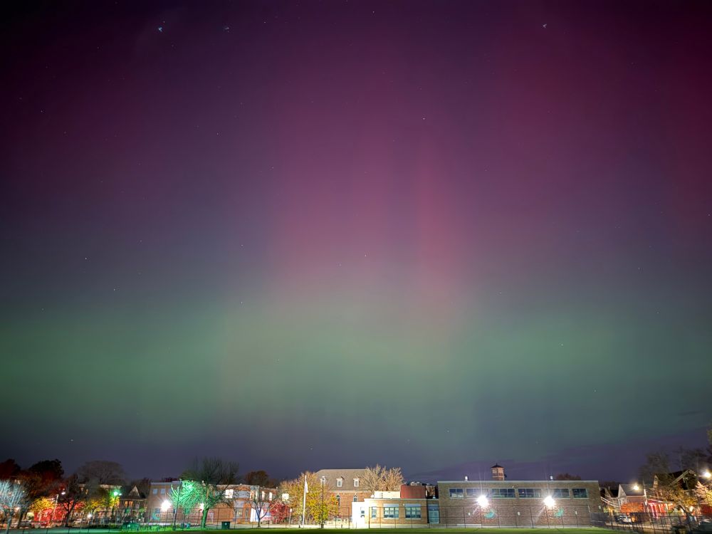 Green and pink aurora over Cambridge, Mass, there’s a line of middle school buildings along the horizon. 