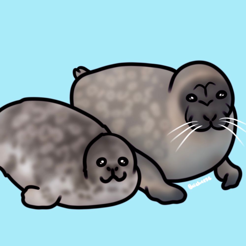Art of two ringed seals 