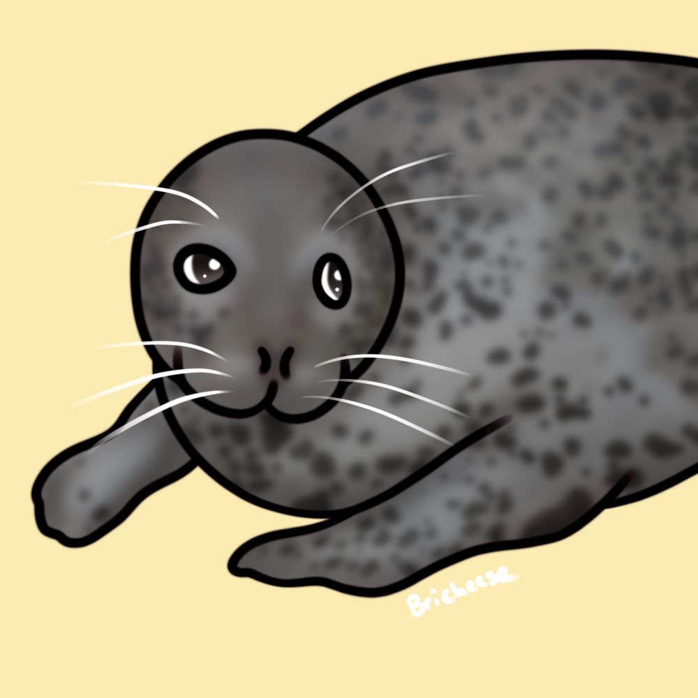 Art of spotted seal kyoro giving side eye