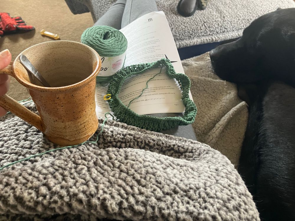 Image shows a lap covered with a fluffy gray blanket, a pattern for the Sabai top (#1), a dusty sage cotton bamboo yarn, and a nearly empty coffee cup. Next to the lap a peaceful black dog is curled up sound asleep. In the background a variety of dog toys is strewn about on the carpet. 
