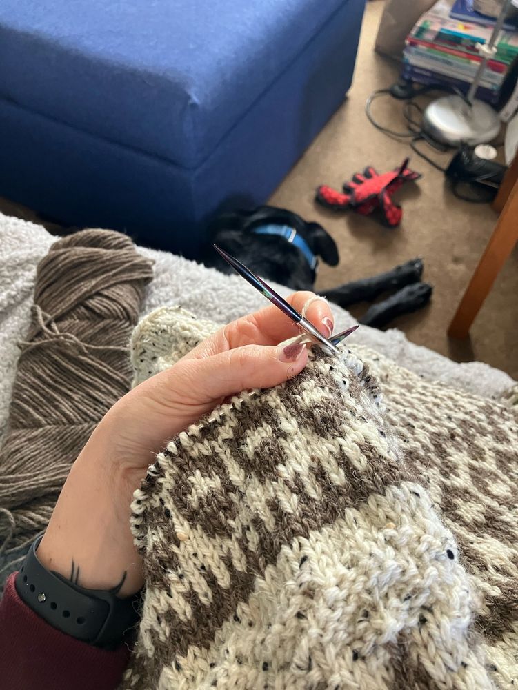 A hand knit sweater in progress in the foreground, showing brown color work on a cream background. Blurred in the background, a black dog lays on the carpet with his prized toy lobster. 