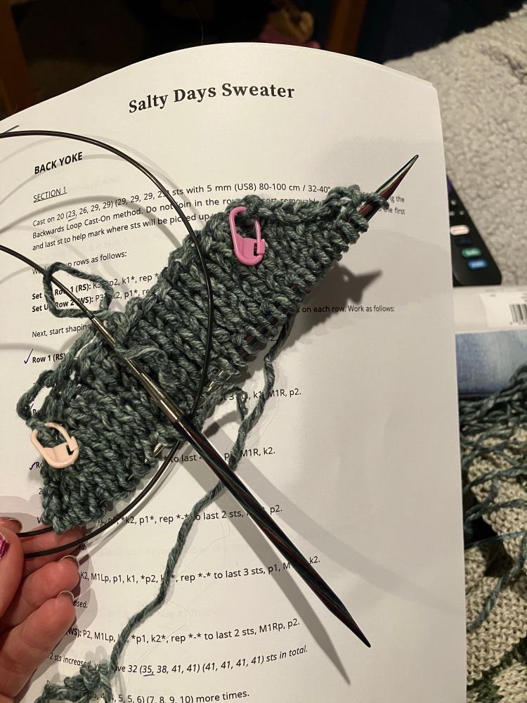 The very beginning of the salty days sweater- beginning with the back of the yoke. I started this sweater over spring break because my friends were having a Love Is Blind Reunion watch party- I hadn’t seen the season yet, so I sat down with my project and watched the whole thing in two days. By the time we watched the reunion I had joined the body and was well into cables- I often refer to this as my love is blind sweater! Nothing like bad reality tv and foul weather to spur on a project. 