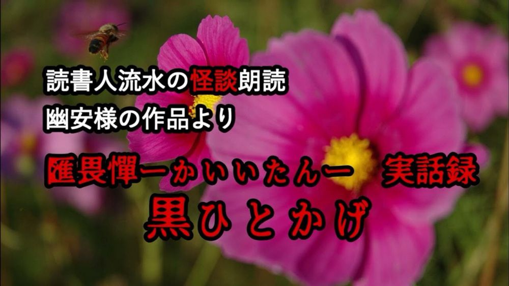 怪談朗読　EP391【黒ひとかげ】〈幽安〉
