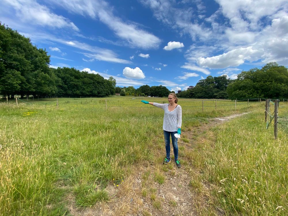 A wide, open field with vibrant green grass stretching across gently rolling terrain. Above, a clear blue sky with soft white clouds. The field is empty, peaceful, and full of potential, soon to be transformed into a vineyard. A person stands in the middle of the field pointing to the left. Wearing disposable gloves and holding a face mask. 