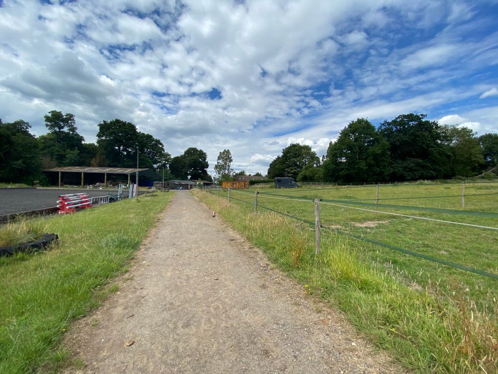 A wide, open field with vibrant green grass stretching across gently rolling terrain. Above, a clear blue sky with soft white clouds. The field is empty, peaceful, and full of potential, soon to be transformed into a vineyard. 