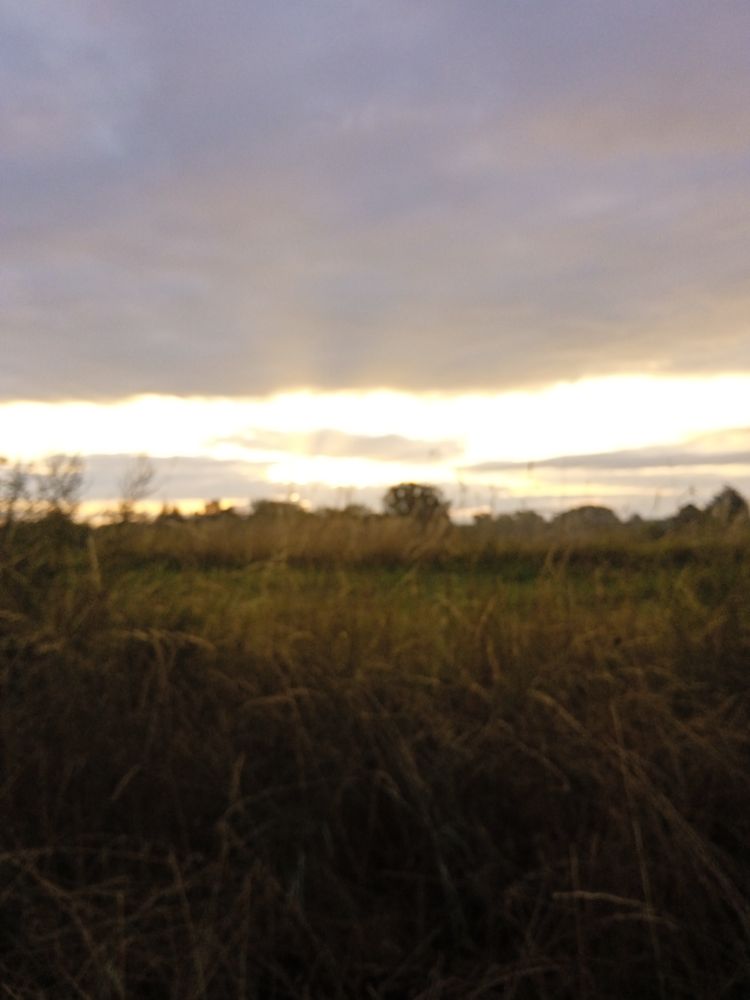 Une prise de vue dans le flou assumée comme vecteur d'expression. A shot in the blur assumed as a vector of expression