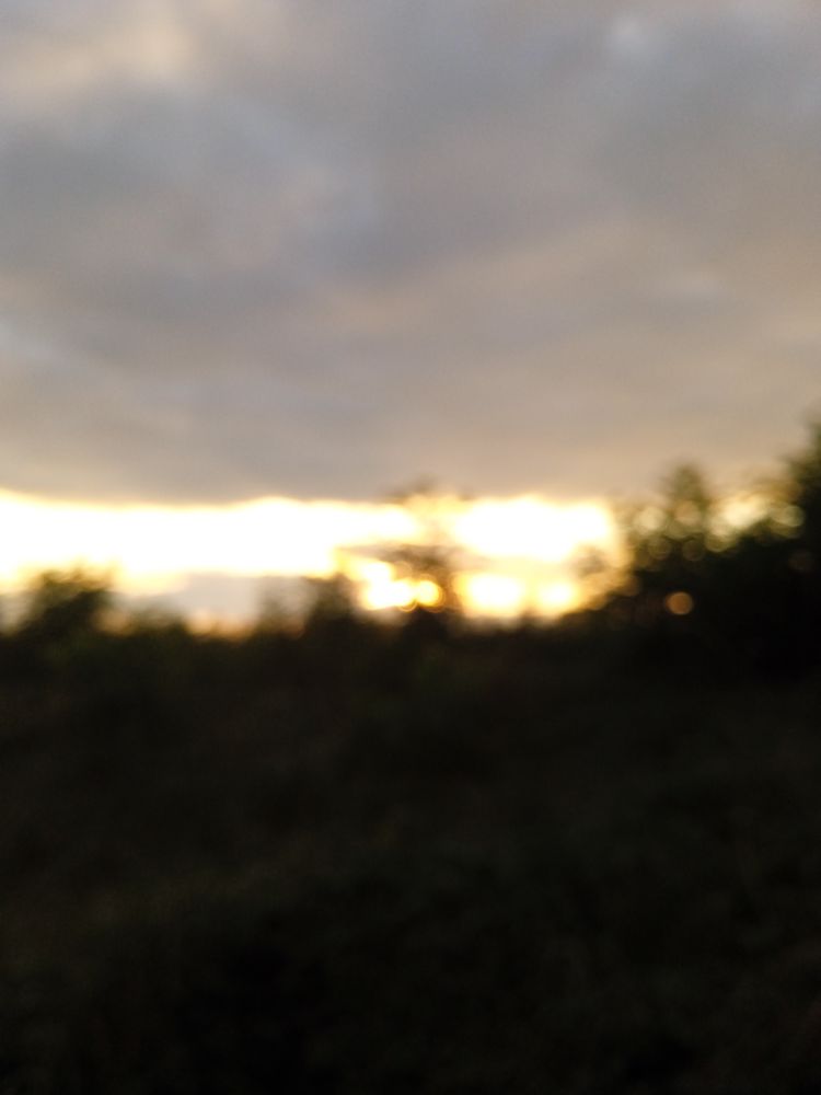 Une prise de vue dans le flou assumée comme vecteur d'expression. A shot in the blur assumed as a vector of expression