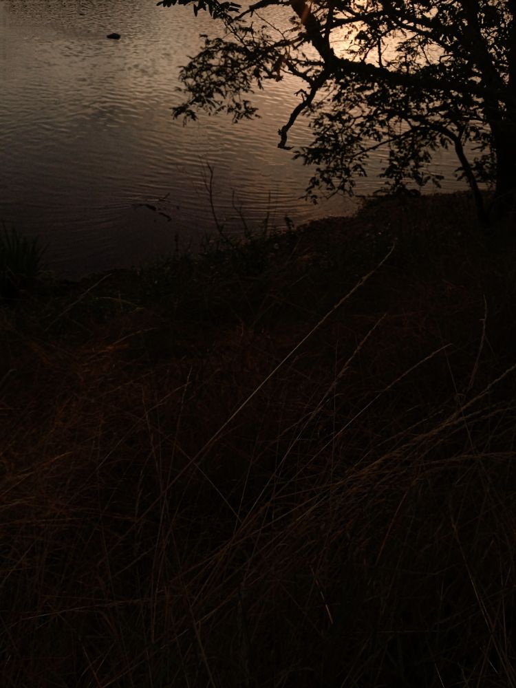 Un moment suspendu... Lorsque les repères se perdent dans la demi-obscurité du jour qui se lève. A suspended moment...When our bearings are lost in the half-darkness of the dawning day.