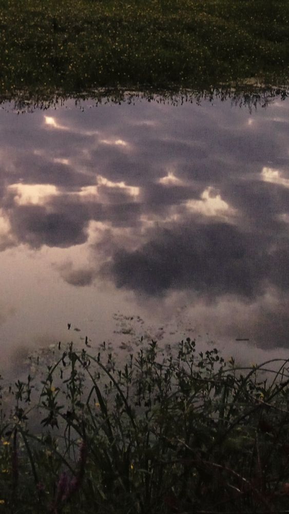 Une photographie prise au moment où tout se confond, lorsque l'obscurité s'étiole dans la lueur d'une nouvelle journée. A photograph taken at the moment where everything merges when darkness fades into the glow of a new day.