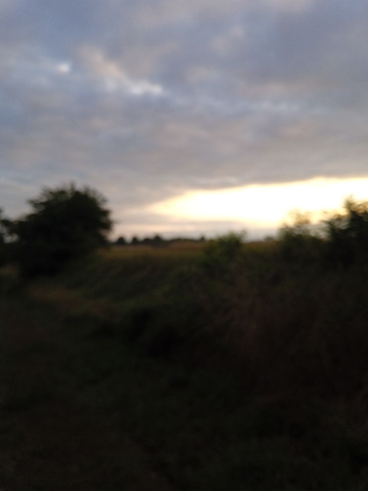 Une prise de vue dans le flou assumée comme vecteur d'expression. A shot in the blur assumed as a vector of expression