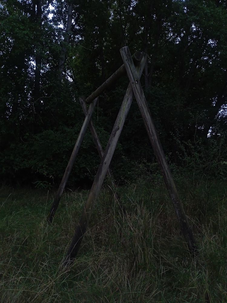2025, Centre Val de Loire au petit matin, nombreuses sont les apparitions fantomatiques. 2025, Centre Val de Loire early in the morning, there are many ghostly apparitions.