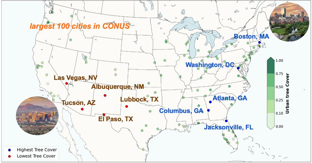 CONUS map showing the cities with the highest and lowest tree cover