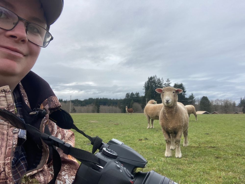 Person in a cameo coat and has a camera hanging down from their neck facing the camera.There are sheep standing beyond them in a green field