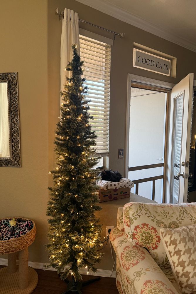 Christmas tree lit up with white lights & twinkle lights ready to be decorated with ornaments, while black cat sitting on her pillow perched next to the tree 🎄