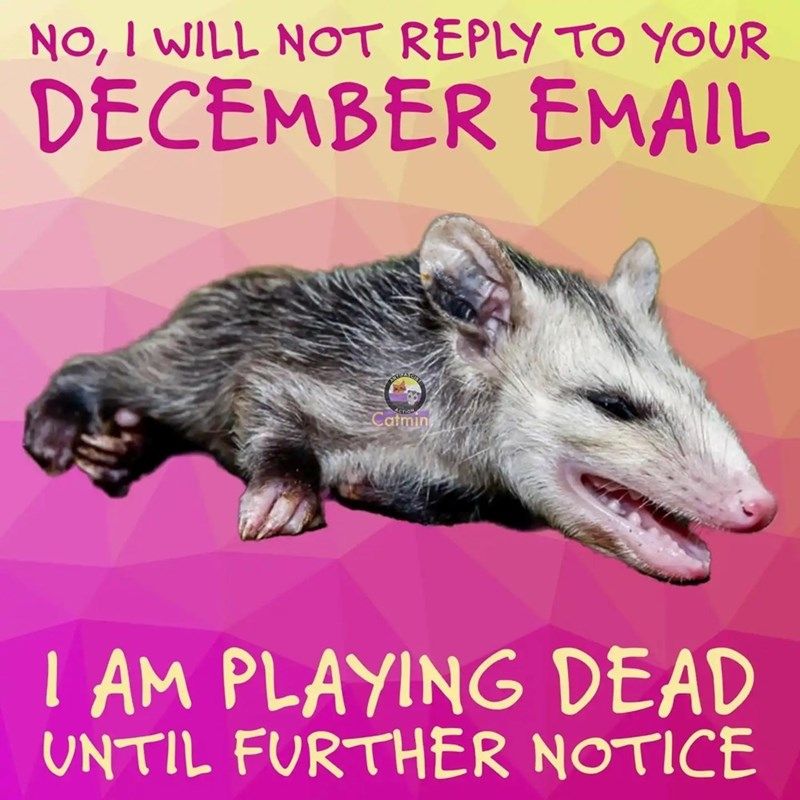 An opossum lying down. Caption reads: "No, I will not reply to your December email. I am playing dead until further notice"